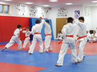 South-London-Karate-Club_2017_Grading-11